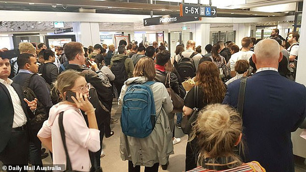 突发！悉尼中央火车站关闭！基本全城线路受影响！有人擅闯铁轨拒绝离开！（视频/组图） - 3