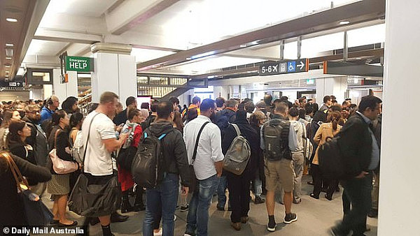 突发！悉尼中央火车站关闭！基本全城线路受影响！有人擅闯铁轨拒绝离开！（视频/组图） - 4