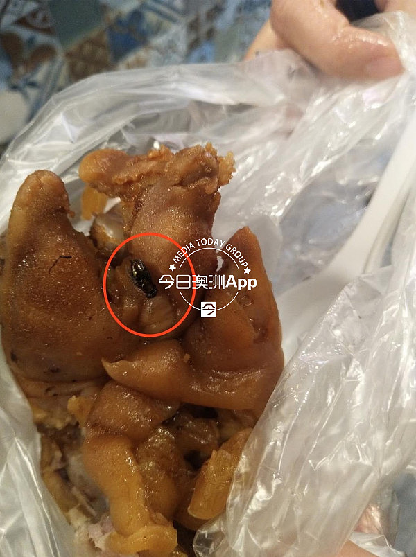 澳洲华人面馆吃出苍蝇，店员被指态度恶劣！反击称“客人要求免单”老板道歉（组图） - 1