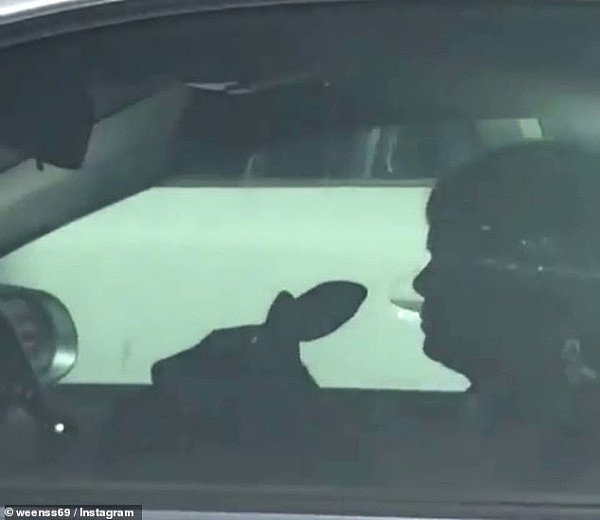 这很澳洲！澳女司机驾车竟带了一名“特殊乘客”，警方表示注意被罚款（视频） - 2