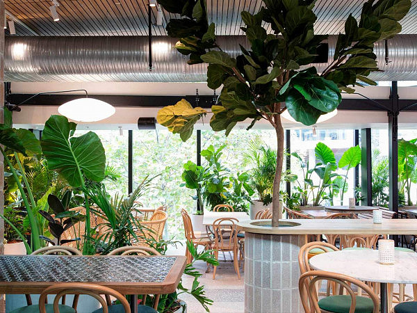 暂别喧嚣：来悉尼豪华绿植餐厅，在美食中回归自然宁静 - 1