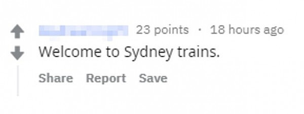 悉尼城铁又现不雅行为！多名女子脱鞋将脚架到座位上，网友直呼恶心！（图） - 2