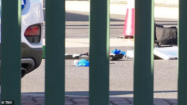 突发！悉尼火车站发生枪击事件，一男子被警察射倒，交通陷入混乱（视频） - 4