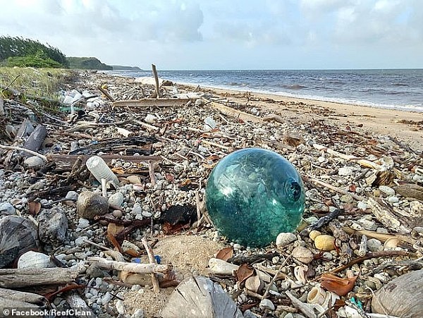 触目惊心！游客看不见的澳洲海滩堪比垃圾场 塑胶制品、毒气罐遍地都是…（视频/组图） - 2