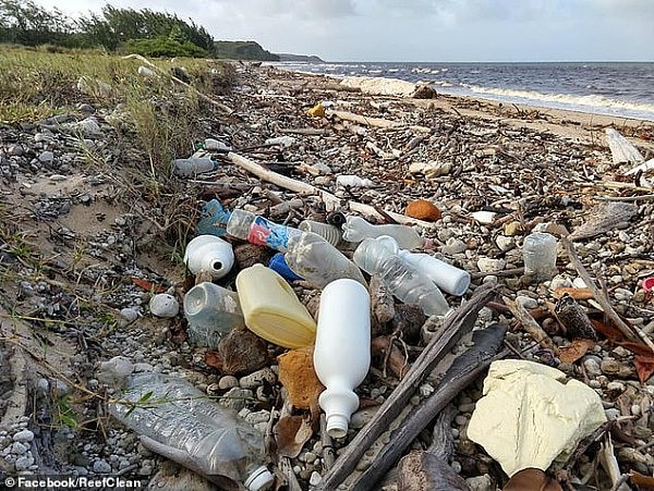 触目惊心！游客看不见的澳洲海滩堪比垃圾场 塑胶制品、毒气罐遍地都是…（视频/组图） - 1