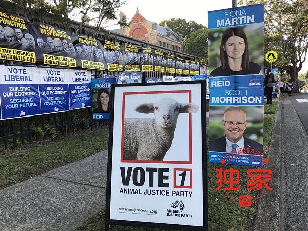 薛顿认输，辞去工党党魁职务！莫里森连任总理已板上钉钉（视频/组图） - 98