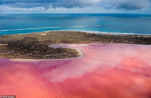 壮观！澳洲“彩虹湖”超现实美景曝光 有机会必去拍照打卡！（组图） - 1