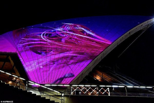 Vivid Sydney点亮夜空！水母游上歌剧院，海港大桥桥上蹦迪（视频/组图） - 10