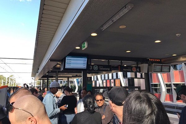 悉尼城铁开通首日就故障，Chatswood站被挤爆！网友：这就是世界顶级？（视频/组图） - 17
