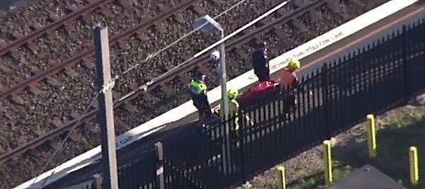 注意！悉尼火车撞死人，紧急停运！北线西北线大面积延误（组图） - 8