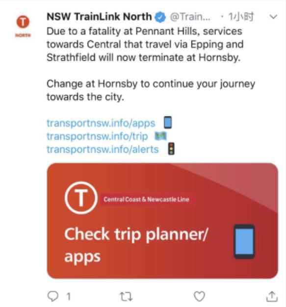 注意！悉尼火车撞死人，紧急停运！北线西北线大面积延误（组图） - 3