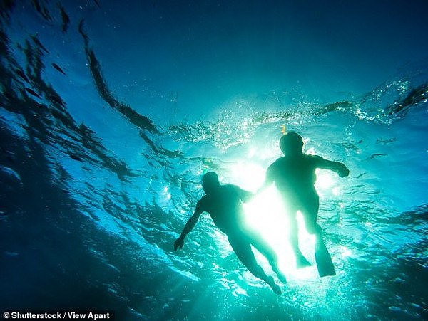 外籍游客在大堡礁浮潜时不幸溺亡 同行女子也因溺水被送医治疗（图） - 2