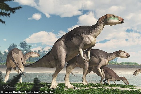 新州澳宝矿里惊现一大批恐龙化石！竟是一亿年前的新物种（图） - 2