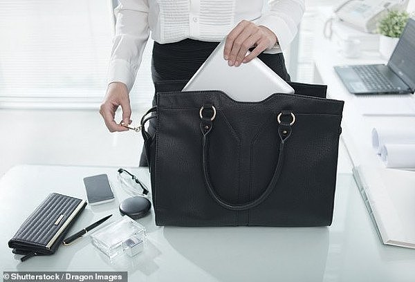 14387376-7102083-The_Australian_Tax_Office_revealed_the_bag_must_carry_work_relat-a-2_1559780469799.jpg,0