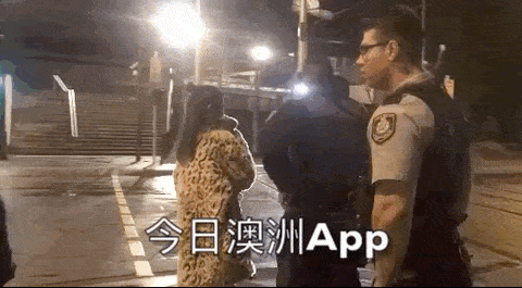 111.gif,0