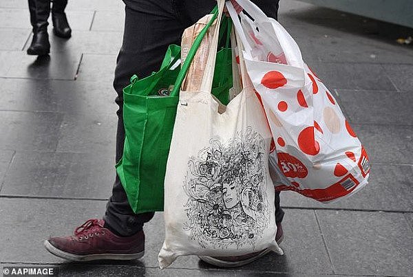 15206404-7177119-Coles_and_Woolworths_moved_away_from_single_use_plastic_bags_in_-a-1_1561420855126.jpg,0