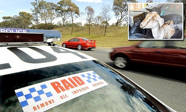 15461386-7198889-NSW_Highway_Patrol_have_fined_an_18_year_old_learner_driver_over-a-12_1561940294102.jpg,0