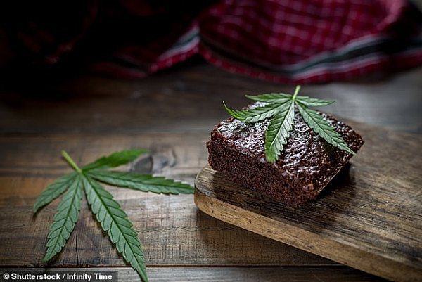 吃块蛋糕毒品检测呈阳性！一家三口在澳咖啡店误食“大麻布朗尼”出现幻觉（图） - 2