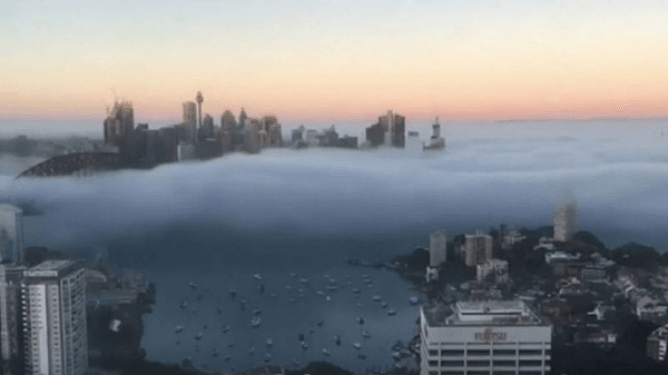 悉尼今晨被大雾笼罩！国际国内航班延误，渡轮服务暂停（组图） - 1
