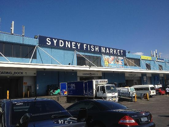 sydney-fish-market.jpg,0