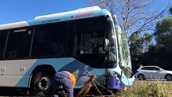 惊险！澳一公交车撞树上，玻璃碎一地车身严重受损，部分车道被关闭（组图） - 2