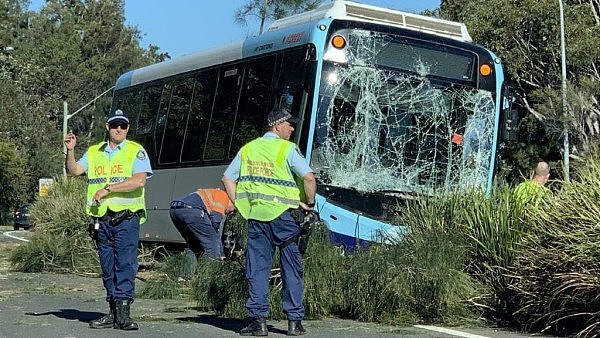 惊险！澳一公交车撞树上，玻璃碎一地车身严重受损，部分车道被关闭（组图） - 3