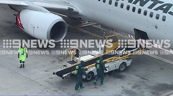 澳航客机惊现“可疑包裹”！大批警力抵达悉尼机场，乘客被紧急转移！警方调查后发现竟是...（组图） - 5