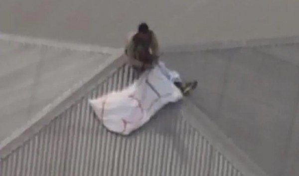 布里斯班两名囚犯冒死爬上屋顶，不为越狱，竟然为了示爱（视频/组图） - 2