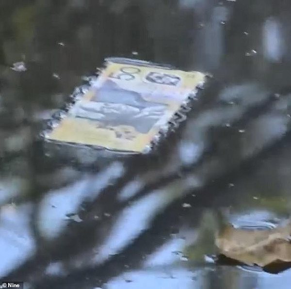 惊！澳洲小河上飘着大量50澳元纸币 警方赶往现场“捞钱”（视频/组图） - 2