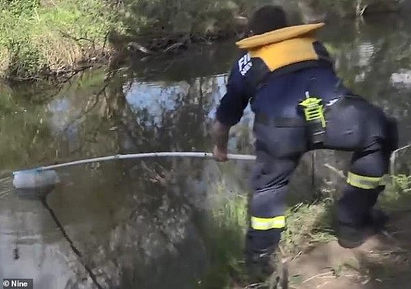 惊！澳洲小河上飘着大量50澳元纸币 警方赶往现场“捞钱”（视频/组图） - 1