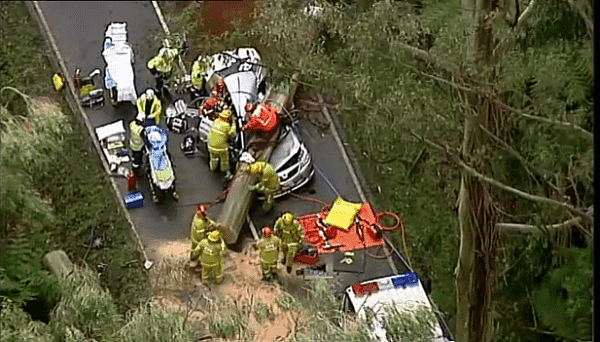 澳洲妖风来袭！大树被刮倒，路过的汽车遭殃，4人被困车内！（组图） - 1