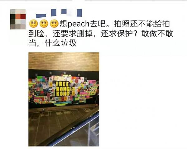 UTS也成“战场”，惊现大幅挺港海报！“Free Hongkong”，多所高校已“沦陷”（图） - 3