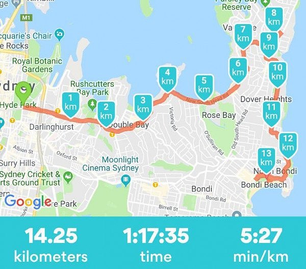 City2Surf再度点燃悉尼！今日悉尼汇入9万人海，为慈善而跑！（视频/组图） - 16