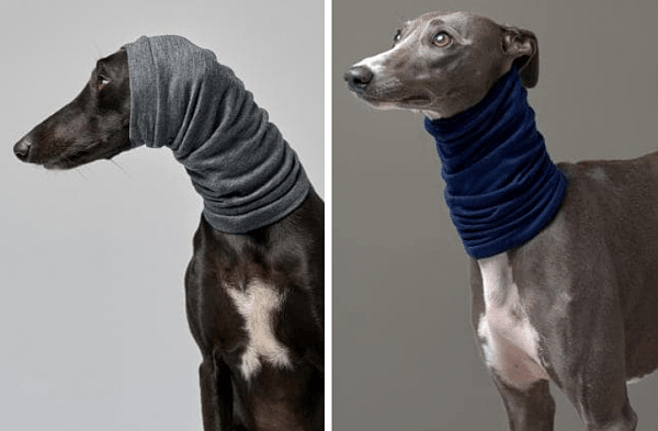 够酷！澳女为爱犬设计“独特保暖服”，受众人喜爱，这个冬天狗狗服将引领时尚（组图） - 3