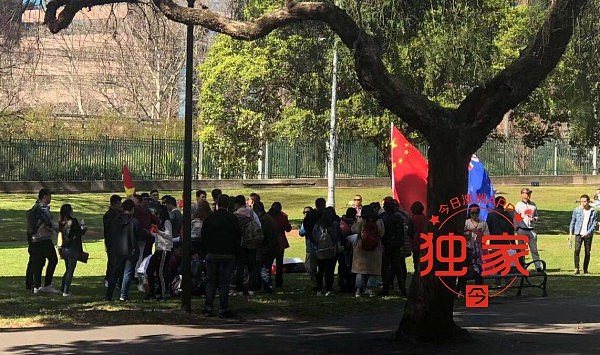 悉尼华人“挺港”游行，爆肢体冲突！3000人唱国歌齐骂“汉奸”（视频/组图） - 61