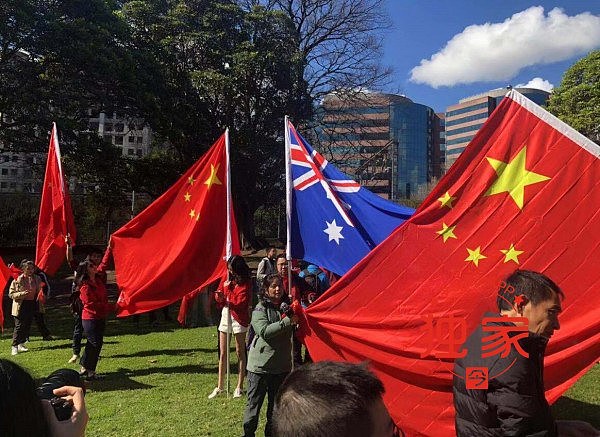 悉尼华人“挺港”游行，爆肢体冲突！3000人唱国歌齐骂“汉奸”（视频/组图） - 58
