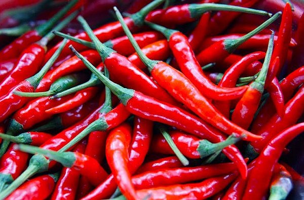 chilli-festival-19.jpg,0