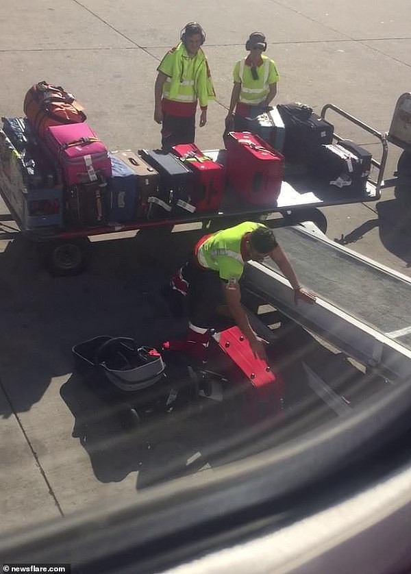 目睹行李被狂丢！乘客悉尼机场拍下暴力托运视频：太恼火了（组图/视频） - 3