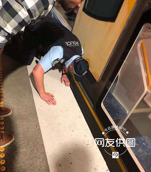 突发！悉尼火车站男子跌落站台，交通大规模延误（视频） - 2