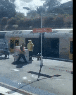 悉尼城铁撞死人！Erskineville站台被封，多条线路大面积延误！（组图） - 2