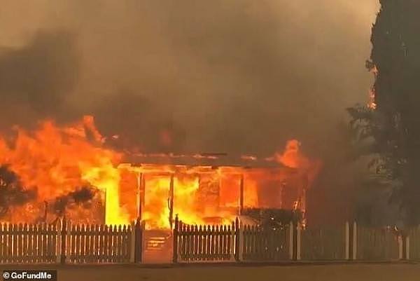 “地狱之火”！新州北部山火蔓延，居民流离失所！八尺男儿流下伤心泪（视频） - 5