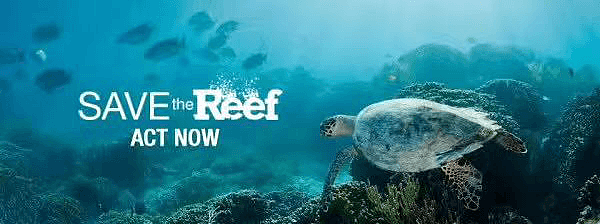 全球招募拯救大堡礁环保先锋 环保无国界   大家一起来行动 - 2