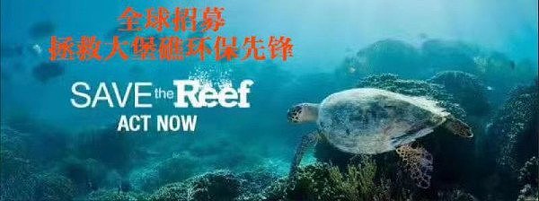 全球招募拯救大堡礁环保先锋 环保无国界   大家一起来行动 - 4