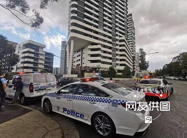 澳洲华人区年轻女子坠楼丧生，华人目击“满脸是血”！案情成谜，警方彻夜调查（视频/组图） - 23