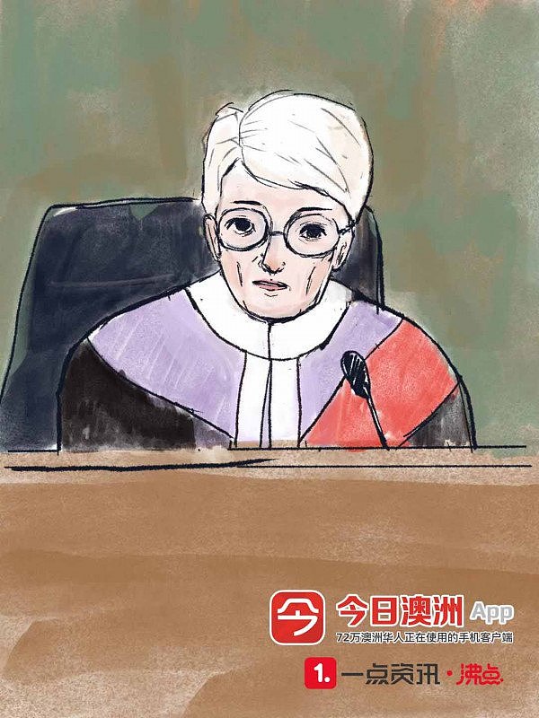 全程详细实录！高云翔案女受害者被盘问，失控恸哭！“我因为害怕而服从”（视频/组图） - 27