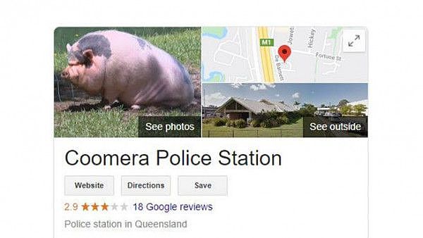 澳洲多家警局变身“养猪场”？谷歌地址页面被佩奇占领 警方回应：管不了（组图） - 2