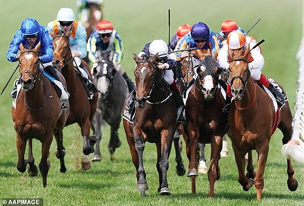 20610502-0-Vow_and_Declare_pictured_winning_the_Melbourne_Cup_on_the_far_ri-a-5_1572936610701.jpg,0