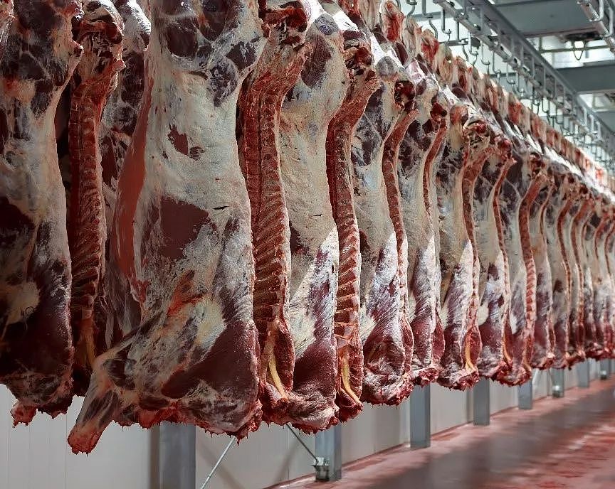 猪肉价格飞起来 澳洲红肉出口站上风口了吗？ - 11