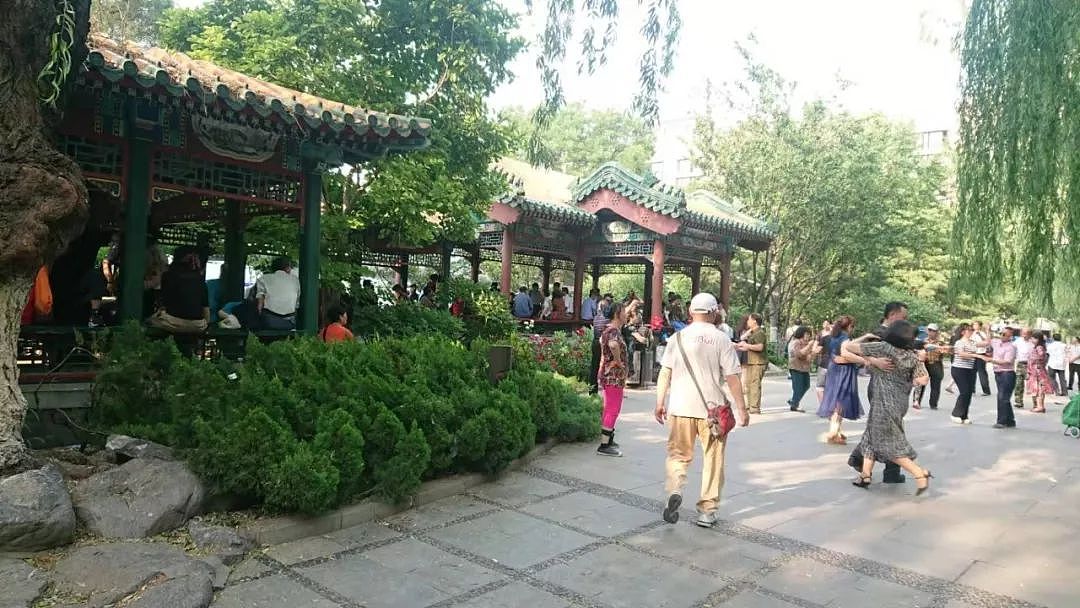 北京菖蒲河相亲角：中国老年人性与爱的真相 - 2