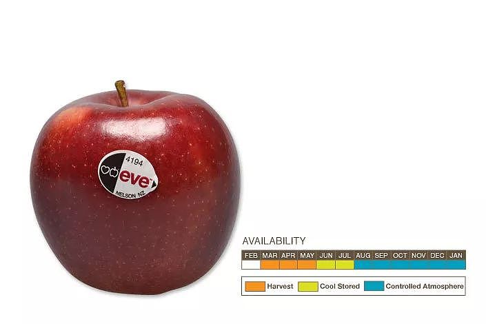 神马？益生菌竟然对身体有害！而澳洲超市里这种常见的$1水果才是真正的王者…… - 72